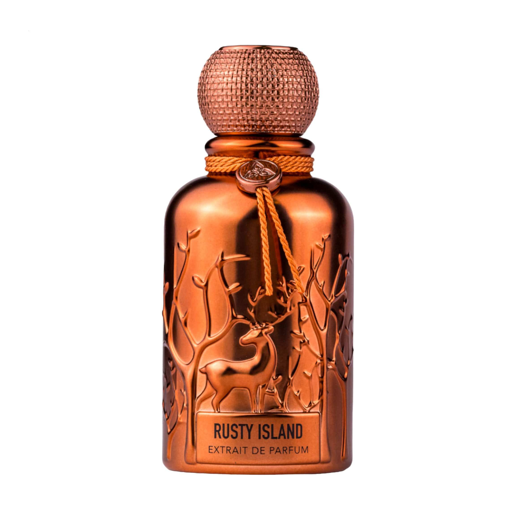 Auraa Desire Rusty Island Парфуми унісекс, 100 мл